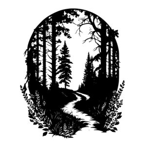 1609_Forest_trail_4970.jpeg