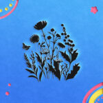 1610_Wildflowers_4623-transparent-paper_cut_out_1.jpg