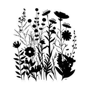 1611_Wildflowers_6418.jpeg