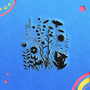 1611_Wildflowers_6418-transparent-paper_cut_out_1.jpg