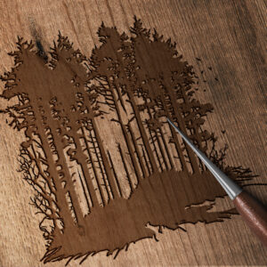 1612_Woods_4225-transparent-wood_etching_1.jpg