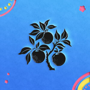 1712_Mandarin_oranges_8677-transparent-paper_cut_out_1.jpg