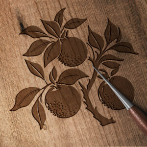 1712_Mandarin_oranges_8677-transparent-wood_etching_1.jpg