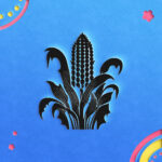 1714_Corn_2840-transparent-paper_cut_out_1.jpg