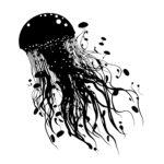 1812_Jellyfish_2024.jpeg