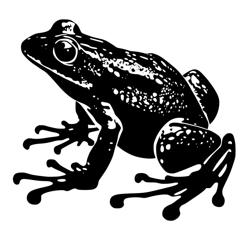 FrogTags: SVG File for Cricut, Silhouette, Laser Machines - Instant