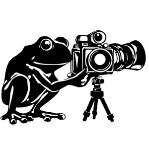 Frog Holding a Camera