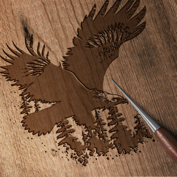 279_Bald_eagle_in_flight_1939-transparent-wood_etching_1.jpg