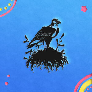 280_Osprey_on_a_nest_5375-transparent-paper_cut_out_1.jpg