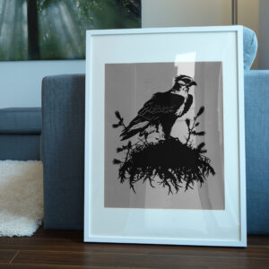 280_Osprey_on_a_nest_5375-transparent-picture_frame_1.jpg