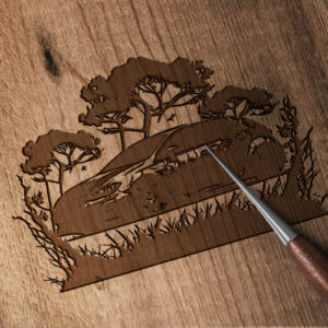2817_Car_3655-transparent-wood_etching_1.jpg