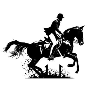 Horse Riding Competition