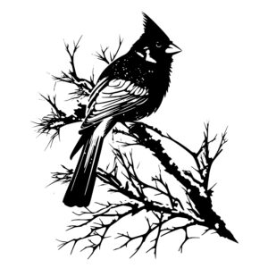 291_Cardinal_on_a_snow-covered_branch_6824.jpeg