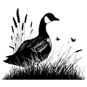 Goose in a Field
