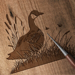 292_Goose_in_a_field_5180-transparent-wood_etching_1.jpg