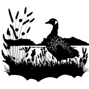 Goose In A Field