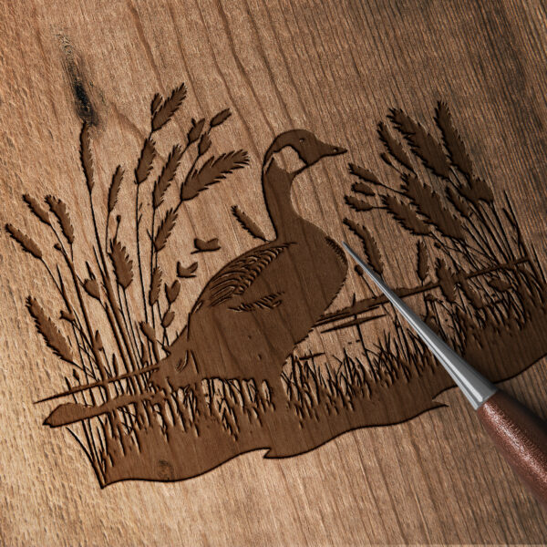 294_Goose_in_a_field_8810-transparent-wood_etching_1.jpg