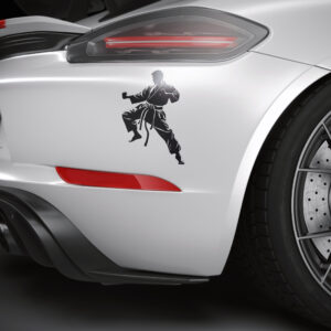 2986_Karate_competition_2346-transparent-car_sticker_1.jpg