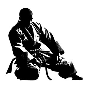 Judo Fighter