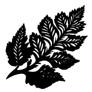 3052_Leaf_3669.jpeg