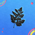 3053_Leaf_2786-transparent-paper_cut_out_1.jpg