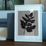 3053_Leaf_2786-transparent-picture_frame_1.jpg