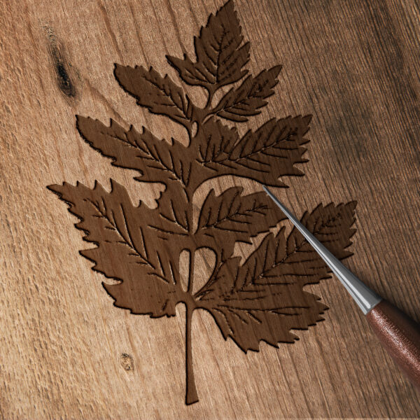 3053_Leaf_2786-transparent-wood_etching_1.jpg