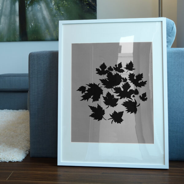 3056_Maple_leaves_7768-transparent-picture_frame_1.jpg