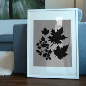 3057_Maple_leaves_8224-transparent-picture_frame_1.jpg