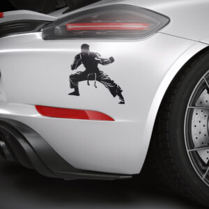 3059_Martial_arts_competition_4739-transparent-car_sticker_1.jpg