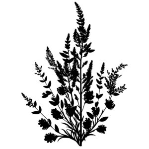3063_Lavender_2760.jpeg