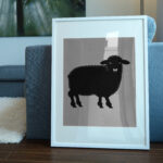 316_Sheep_wool_blanket_5012-transparent-picture_frame_1.jpg