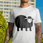 323_Sheep_wool_blanket_8046-transparent-tshirt_1.jpg