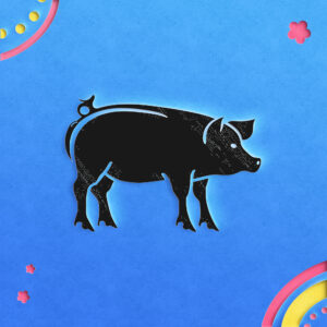 327_Pig_pork_sausage_7942-transparent-paper_cut_out_1.jpg