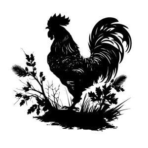 Chicken Rooster Crowing