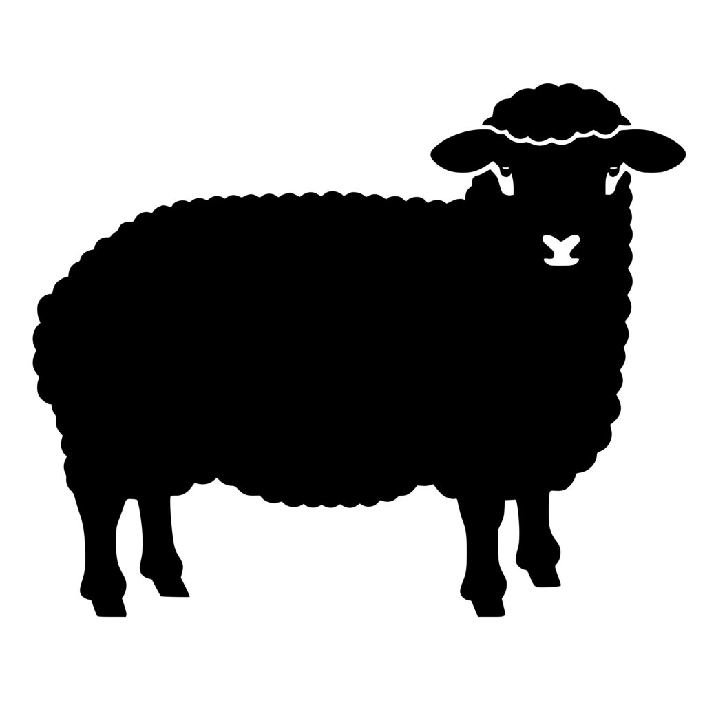 Sheep Wool Blanket SVG File for Cricut, Silhouette, Laser Machines