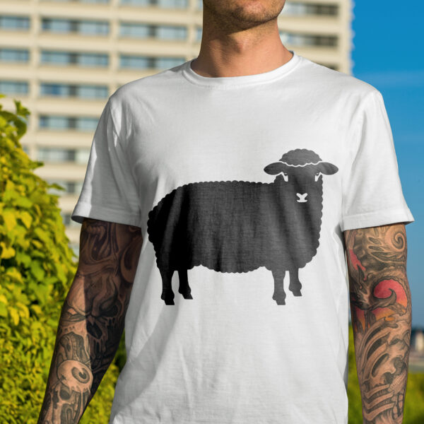 329_Sheep_wool_blanket_5905-transparent-tshirt_1.jpg