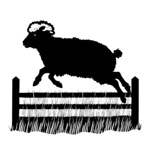 332_sheep_jumping_over_a_fence_5825.jpeg