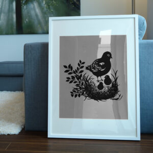 334_Chicken_nesting_eggs_2469-transparent-picture_frame_1.jpg