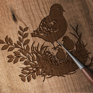 334_Chicken_nesting_eggs_2469-transparent-wood_etching_1.jpg