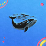 378_Whale_swimming_in_the_ocean_8632-transparent-paper_cut_out_1.jpg