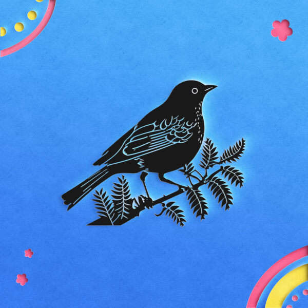 380_Bird_6218-transparent-paper_cut_out_1.jpg