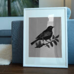 380_Bird_6218-transparent-picture_frame_1.jpg