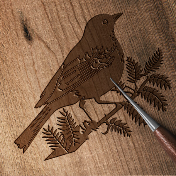 380_Bird_6218-transparent-wood_etching_1.jpg