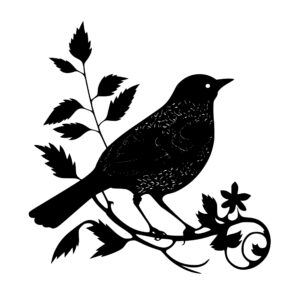 381_Bird_7790.jpeg