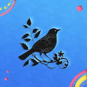 381_Bird_7790-transparent-paper_cut_out_1.jpg