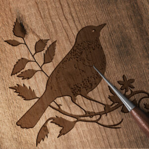 381_Bird_7790-transparent-wood_etching_1.jpg