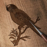 387_Budgie_on_a_perch_8915-transparent-wood_etching_1.jpg