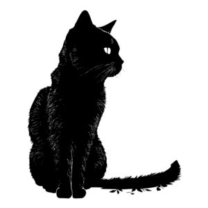 403_Cat_2323.jpeg