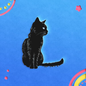 403_Cat_2323-transparent-paper_cut_out_1.jpg